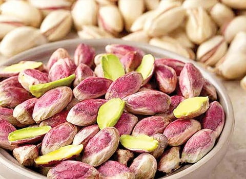 فروش پسته اکبری عمده + قیمت خرید به صرفه